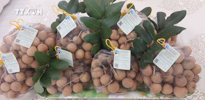 vna_potal_hoi_nghi_danh_gia_phan_hang_san_pham_ocop_cap_tinh_bac_lieu_nam_2024_7689126.jpg