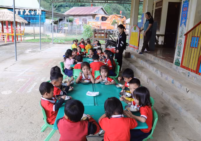 vna_potal_lang_tham_uom_mam_gieo_chu_giua_dai_ngan_pu_huong__7089050.jpg