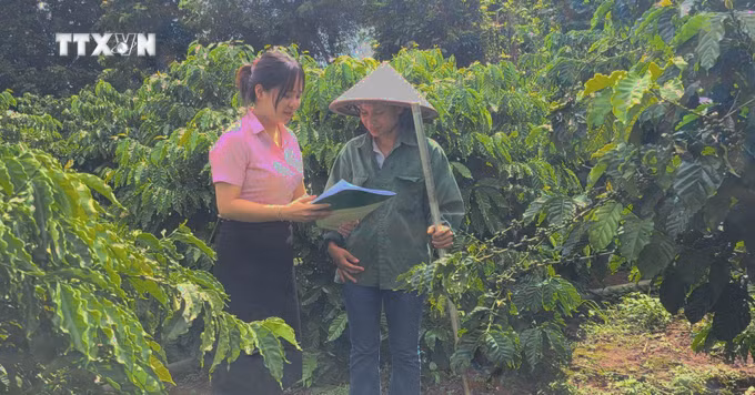 vna_potal_gia_lai_hon_500000_ho_ngheo_duoc_thu_huong_nguon_von_tin_dung_chinh_sach_xa_hoi_7478915.jpg