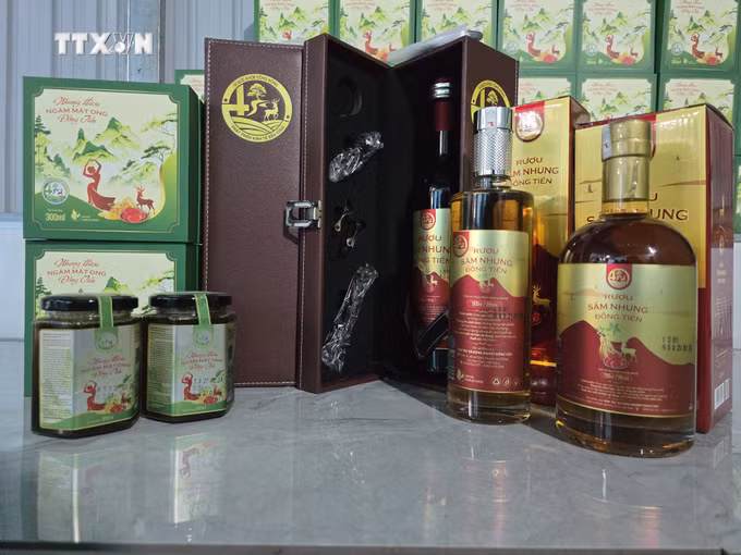 vna_potal_huong_di_moi_tu_mo_hinh_nuoi_huou_sao_o_vung_bien_gioi_kon_tum_7369713.jpg