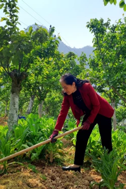 Người phụ nữ thắp xanh hy vọng trên mảnh đất biên cương