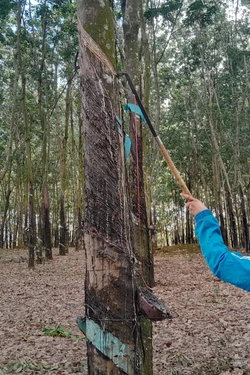 Hiện thực hóa ước mơ an cư, lạc nghiệp