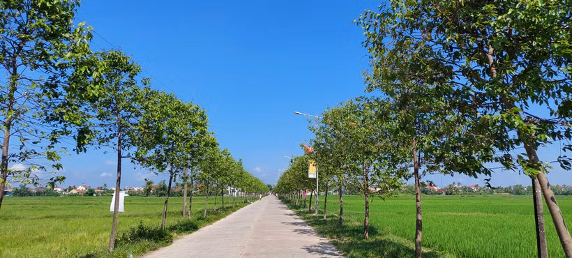 Tuyến đường nông thôn mới xanh sạch đẹp ở xã Diễn Yên, huyện Diễn Châu (Nghệ An). Nguồn ảnh minh họa: dbndnghean.vn