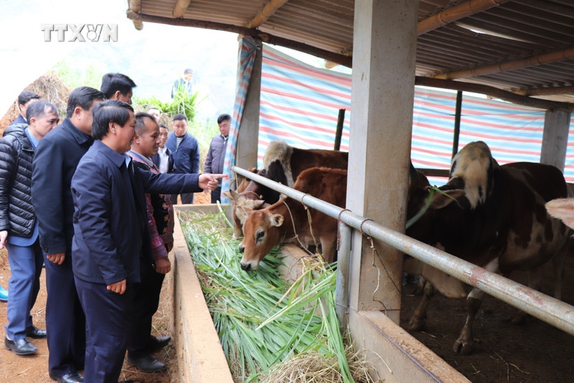 Bộ trưởng, Chủ nhiệm Ủy ban Dân tộc Hầu A Lềnh cùng đoàn công tác thăm các mô hình phát triển kinh tế có hiệu quả tại xã Trạm Tấu, huyện Trạm Tấu (Yên Bái). Ảnh - TTXVN phát