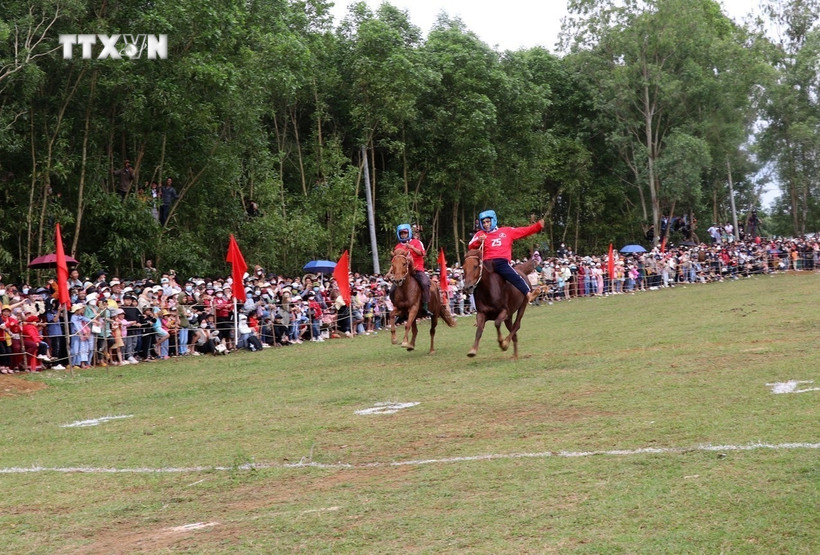 Ngựa đua số 25 đã về đích trong trận chung kết và dành giải Nhất hội đua năm Giáp Thìn. Ảnh: Xuân Triệu - TTXVN
