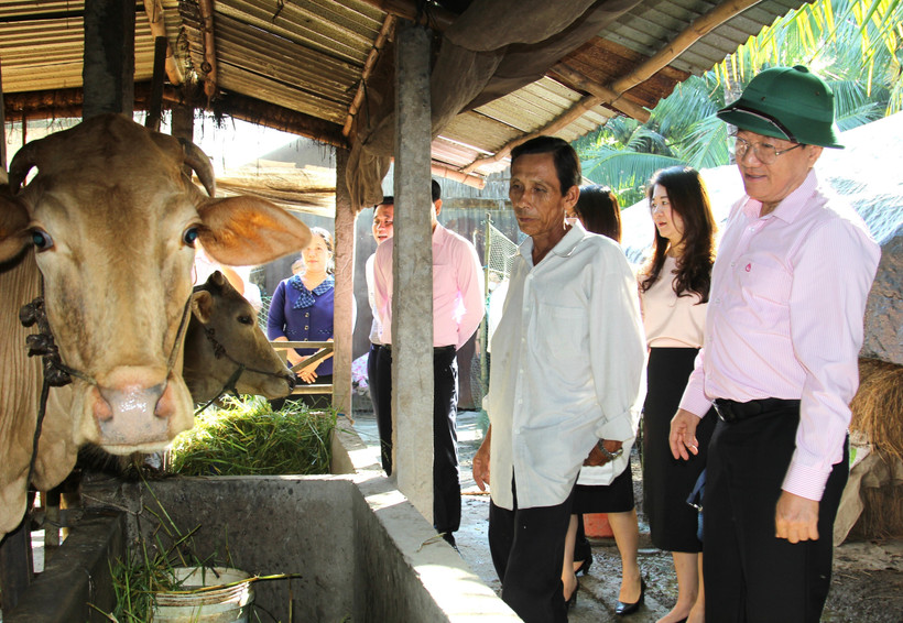 Tổng giám đốc Ngân hàng Chính sách xã hội Việt Nam Dương Quyết Thắng cùng đoàn công tác tìm hiểu tình hình sử dụng nguồn vốn vay từ các chương trình mục tiêu quốc gia tại xã Trung Thành, huyện Vũng Liêm (Vĩnh Long). Ảnh: Lê Thúy Hằng - TTXVN