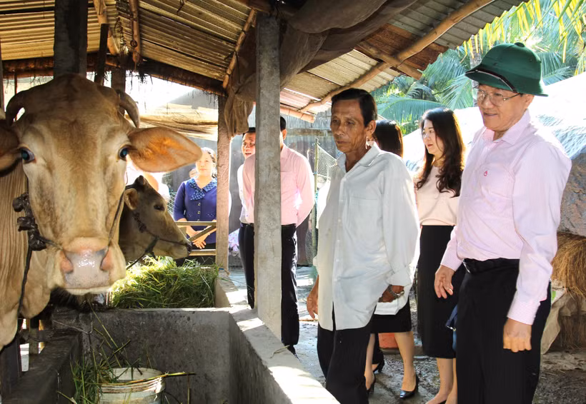 Tổng giám đốc Ngân hàng Chính sách xã hội Việt Nam Dương Quyết Thắng cùng đoàn công tác tìm hiểu tình hình sử dụng nguồn vốn vay từ các chương trình mục tiêu quốc gia tại xã Trung Thành, huyện Vũng Liêm (Vĩnh Long). Ảnh: Lê Thúy Hằng - TTXVN