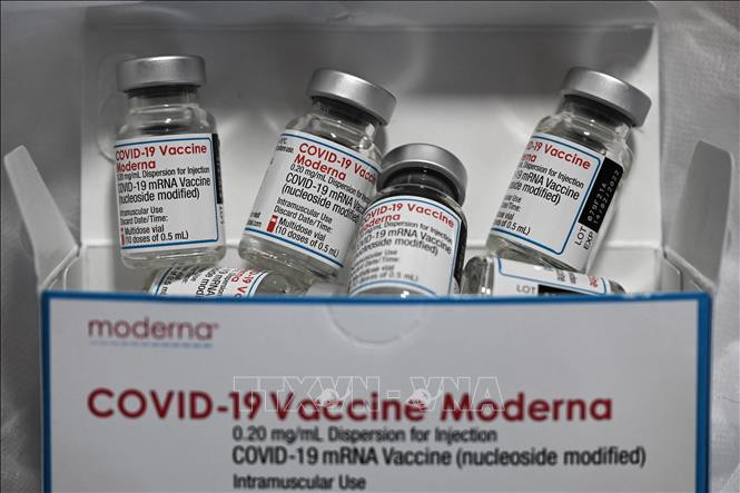 Vaccine ngừa COVID-19 của Moderna. Ảnh: AFP/TTXVN