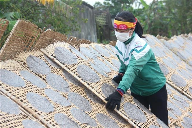 Sản phẩm bánh đa vừng của Hợp tác xã sản xuất và thương mại Nguyên Lâm được xuất khẩu sang thị trường Nhật Bản. Ảnh: Hoàng Ngà - TTXVN 