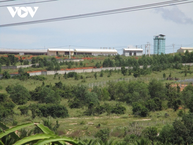 Trang trại heo nằm trên đồi cao.Nguồn: vov.vn