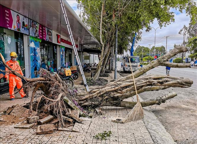 Từ ngày 11-20/8, các khu vực đều mưa dông về đêm và sáng, đề phòng thời tiết nguy hiểm