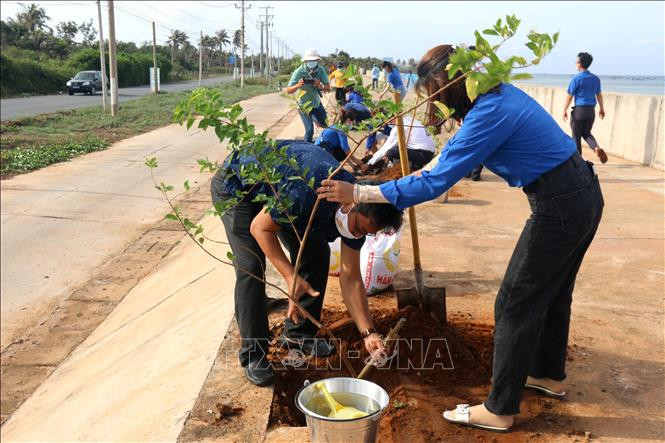 Trồng cây xanh tại khu vực bờ kè Bãi Lăng, xã Ngũ Phụng, huyện đảo Phú Quý (Bình Thuận). Ảnh: Nguyễn Thanh - TTXVN