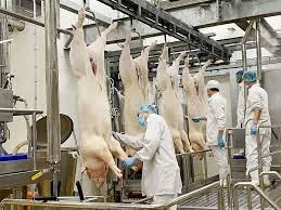 Tăng kiểm soát sản phẩm chăn nuôi nhập khẩu
