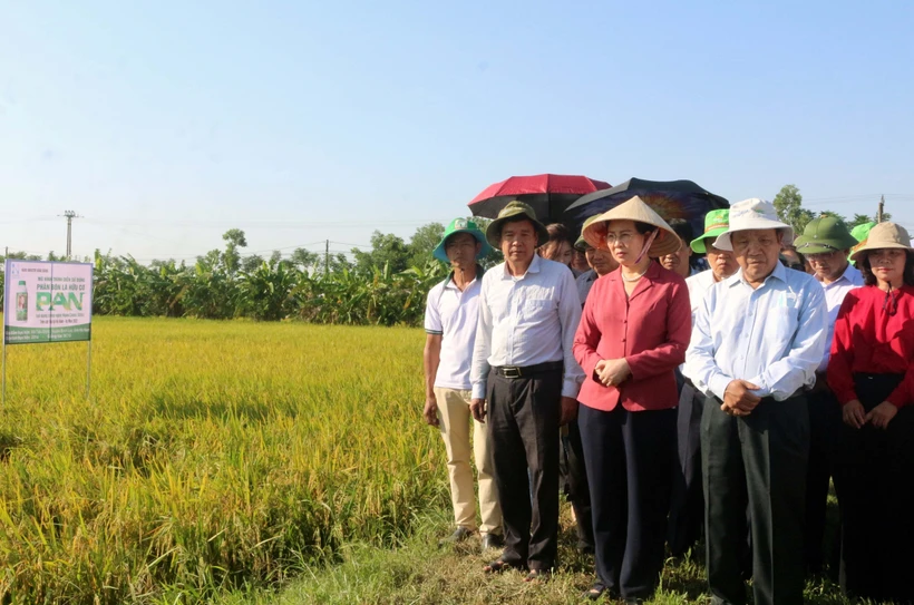 Hội nghị đầu bờ đánh giá kết quả sử dụng phân bón lá hữu cơ trên cây lúa tại xã Tiêu Động, huyện Bình Lục (Hà Nam). Ảnh: Nguyễn Chinh - TTXVN 
