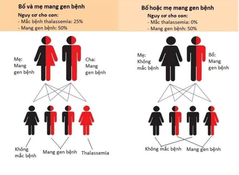 Ngày Thalassemia thế giới (8/5): Bệnh tan máu bẩm sinh dễ phòng nếu chủ động