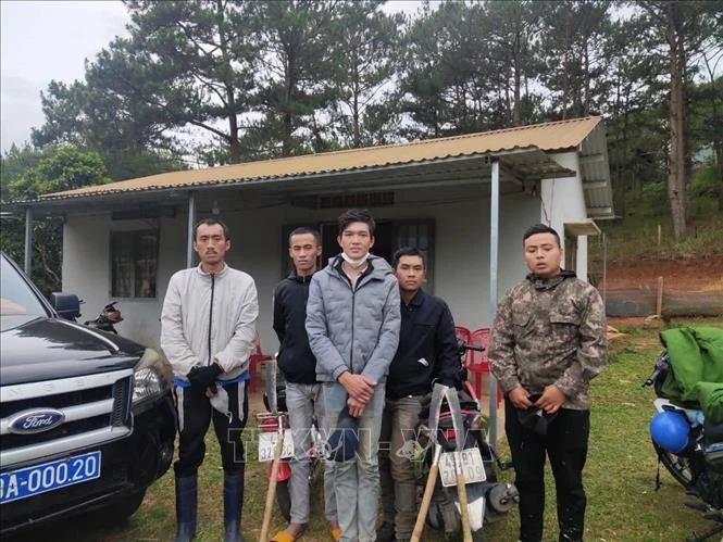 Các đối tượng phá rừng. Ảnh: TTXVN phát 
