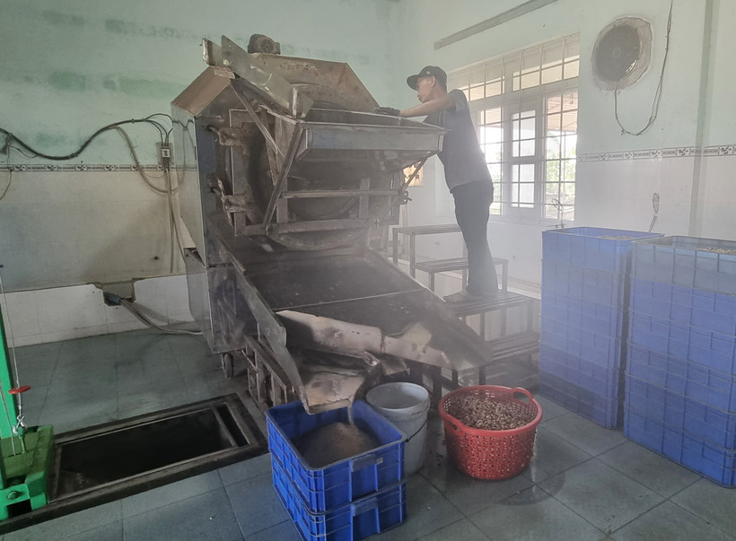 Máy rang hạt điều công nghiệp được hỗ trợ vốn từ Chương trình khuyến công quốc gia của Công ty Cổ phần Xuất Nhập khẩu Hưng Phát Ninh Thuận (thị trấn Khánh Hải, huyện Ninh Hải). Ảnh: Nguyễn Thành – TTXVN