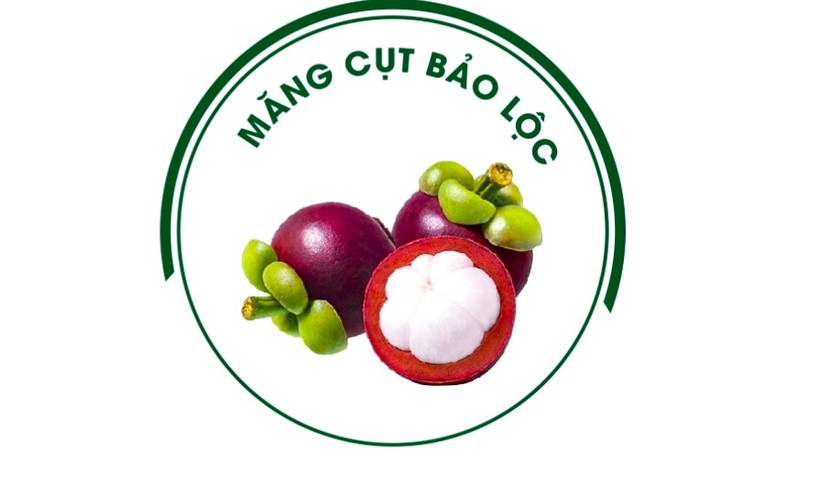 Măng cụt Bảo Lộc được cấp nhãn hiệu độc quyền