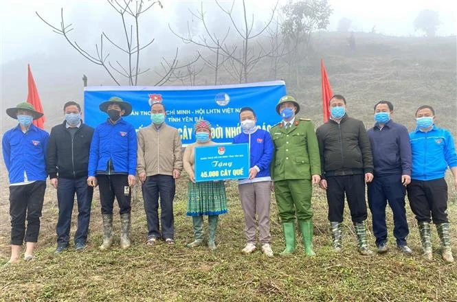 Tỉnh đoàn Yên Bái hưởng ứng chương trình Tết trồng cây và trao tặng 45.000 cây quế giống cho người dân tại thôn Giao Lâu, xã Pá Lau, huyện Trạm Tấu. Ảnh: Tiến Khánh – TTXVN. 
