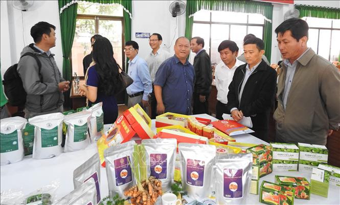 Các đại biểu tham quan gian hàng các sản phẩm OCOP. Ảnh: Dư Toán – TTXVN.