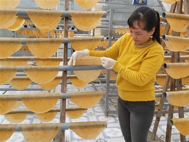 Kiểm tra bánh phồng tôm trong lò sấy bằng năng lượng mặt trời, có hộ có thể cung ứng 1 tấn bánh phồng tôm mỗi tháng. Ảnh: Hồng Nhung/TTXVN