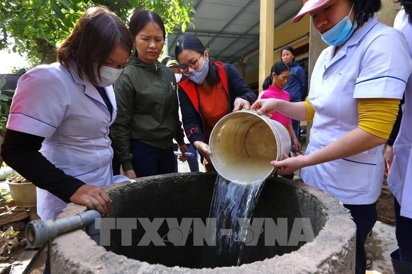 Bến Tre tăng cường phòng chống bệnh sâu bệnh hại dừa. Ảnh : Huỳnh Phúc Hậu - TTXVN