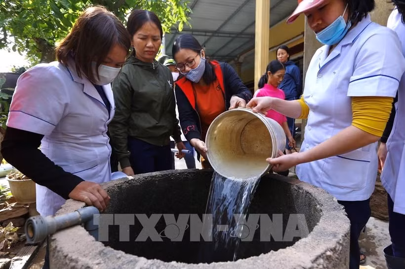 Bến Tre tăng cường phòng chống bệnh sâu bệnh hại dừa. Ảnh : Huỳnh Phúc Hậu - TTXVN