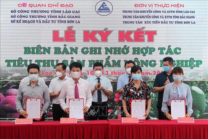 Ký kết ghi nhớ giữa đơn vị tiêu thụ và nhà cung cấp tại hội nghị xúc tiến. Ảnh: Quốc Khánh - TTXVN