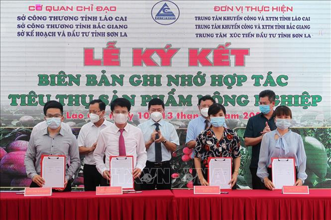 Ký kết ghi nhớ giữa đơn vị tiêu thụ và nhà cung cấp tại hội nghị xúc tiến. Ảnh: Quốc Khánh - TTXVN