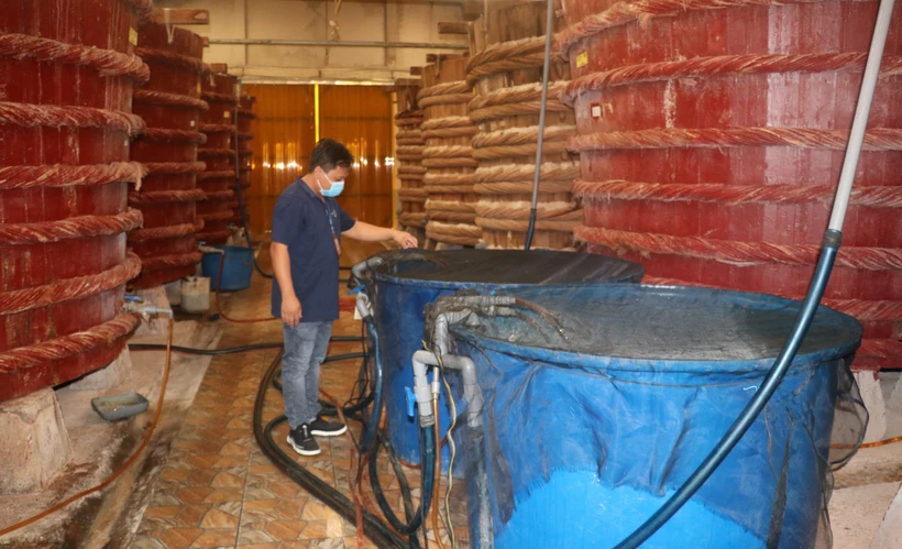 Sản xuất nước mắm ở Kiên Giang gặp khó