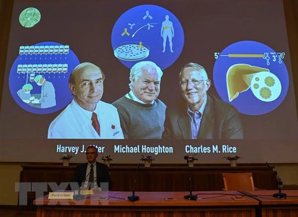 Chân dung các nhà khoa học đoạt giải Nobel Y học 2020 trong cuộc họp báo công bố về giải thưởng ở Viện Karolinska, thủ đô Stockholm (Thụy Điển). Ảnh: AFP/TTXVN