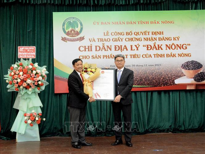 Lãnh đạo Cục Sở hữu trí tuệ (Bộ Khoa học và Công nghệ) trao Quyết định Chỉ dẫn địa lý "Đắk Nông" cho sản phẩm hồ tiêu của tỉnh Đắk Nông. Ảnh: Hưng Thịnh – TTXVN 