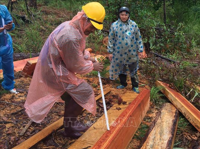 Lực lượng chức năng khám nghiệm hiện trường tại tiểu khu 214 trên địa bàn xã Phi Liêng, huyện Đam Rông. Ảnh: TTXVN phát