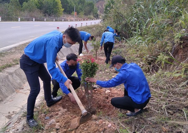 Đoàn viên Thanh niên thành phố Móng Cái tham gia trồng cây. Ảnh: doanthanhnien.vn 