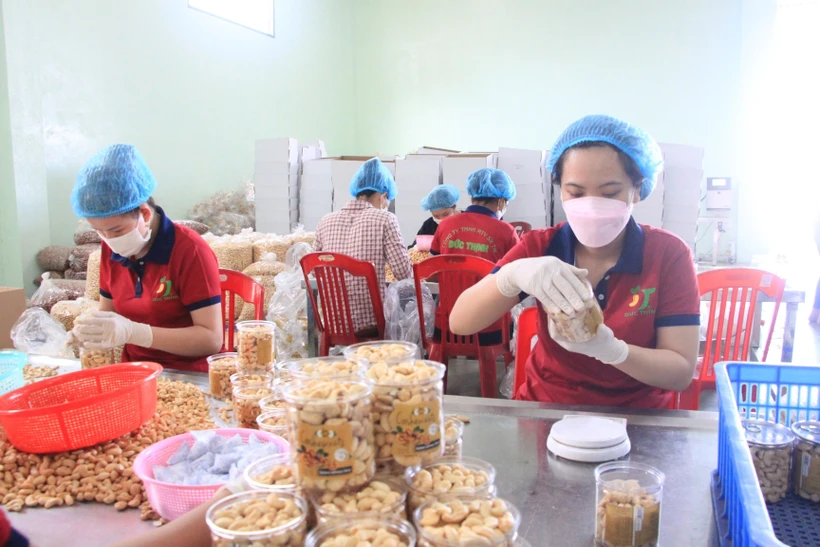 Công nhân đóng gói hạt điều tại Công ty TNHH MTV sản xuất thương mại Đức Thịnh (tại xã Thống Nhất, huyện Bù Đăng). Ảnh: K GỬIH - TTXVN 