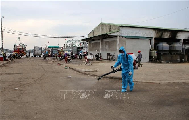 Phun thuốc tiêu độc khử trùng. Ảnh: Hồ Cầu-TTXVN