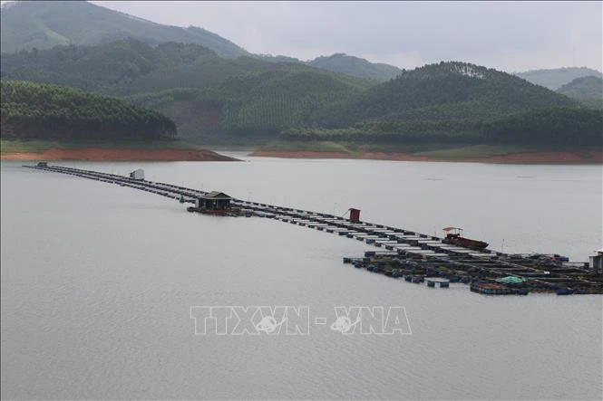 Nuôi trồng thủy sản là một trong hai đối tượng tiềm năng của tỉnh Yên Bái chi trả tiền dịch vụ môi trường rừng trong thời gian tới. Ảnh: Tiến Khánh - TTXVN 