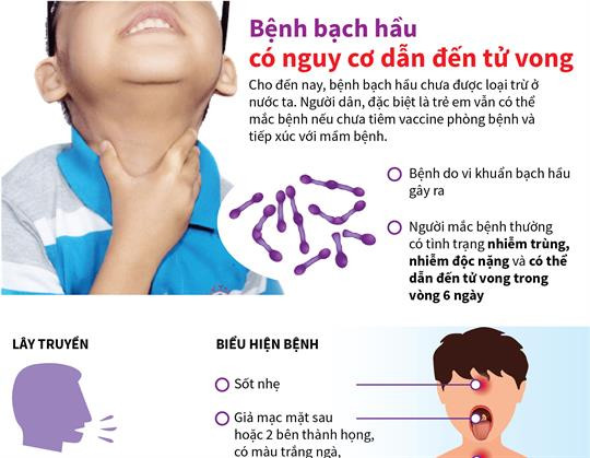 Phòng tránh bệnh bạch hầu. Ảnh : infographics.vn