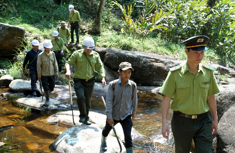 Chính sách chi trả dịch vụ môi trường rừng phát huy hiệu quả tại Lào Cai