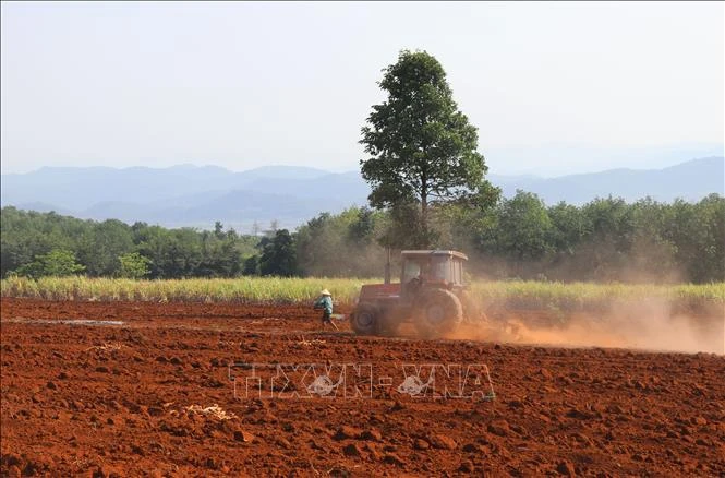 Nông dân Phú Yên sử dụng máy móc làm đất trồng mía giúp giảm ngày công lao động. Ảnh: Phạm Cường-TTXVN