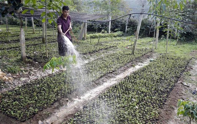 Phó Thủ tướng Lê Minh Khái: Cho vay các chương trình tín dụng ưu đãi kịp thời, đúng đối tượng, tránh trục lợi