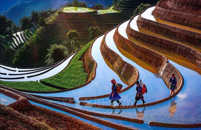 Danh thắng Quốc gia đặc biệt ruộng bậc thang Mù Cang Chải từng vào "Top 20 điểm đến sắc màu nhất thế giới", "Top 50 điểm đến đẹp nhất thế giới năm 2020".Ảnh: Tiến Khánh – TTXVN. 