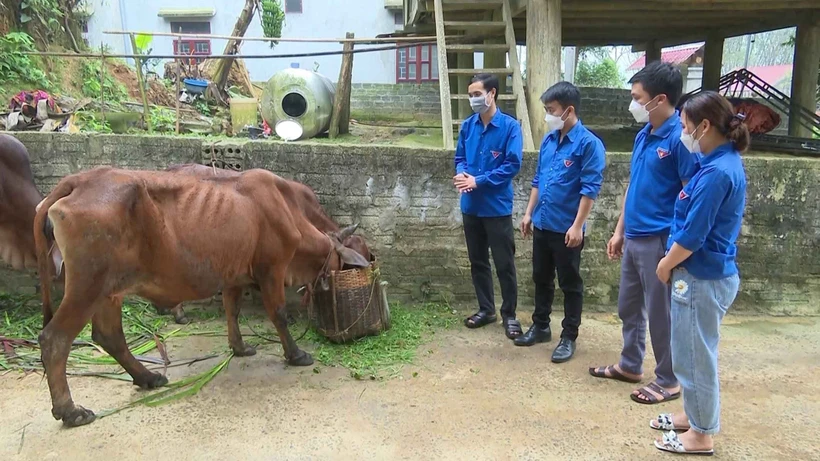 Tạo nguồn, phát triển đảng viên tại khu vực miền núi khó khăn tỉnh Thanh Hóa 