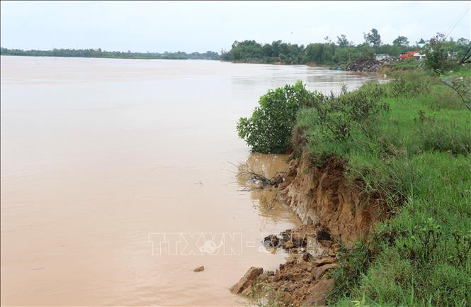 Bờ sông Thạch Hãn đoạn qua phường Đông Lương, thành phố Đông Hà bị sạt lở do mưa lớn. Ảnh: Nguyên Lý-TTXVN 