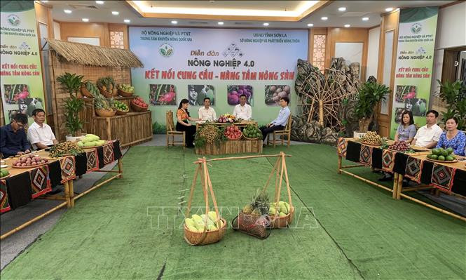 Quang cảnh chương trình tọa đàm trực tuyến “Diễn đàn nông nghiệp 4.0” với chủ đề “Kết nối cung cầu – Nâng tầm nông sản” tại điểm cầu tỉnh Sơn La. Ảnh: Hữu Quyết - TTXVN 