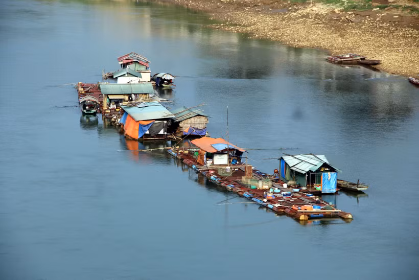Một số lồng nuôi cá trên sông Lô, địa phận phường Nông Tiến, thành phố Tuyên Quang. Ảnh: Vũ Quang – TTXVN 