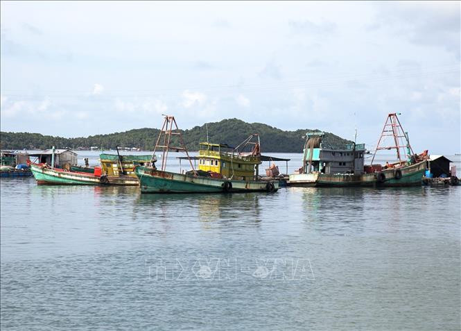 Tàu cá trên vùng biển thành phố Hà Tiên. Ảnh: Hồng Đạt - TTXVN