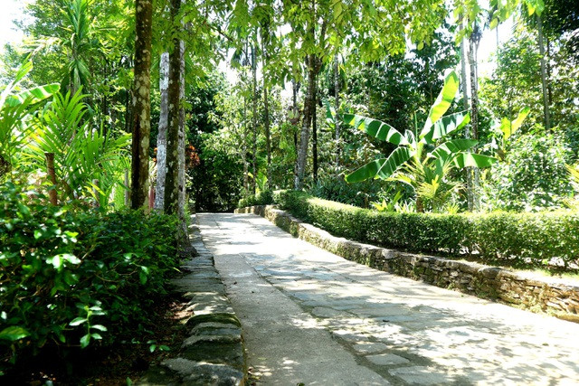 Quảng Nam phát triển du lịch cộng đồng vùng sâu thành sản phẩm đặc trưng