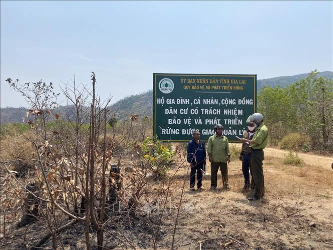 Cán bộ kiểm lâm phối hợp với tổ cộng đồng làng Ia Ke, xã Ia Phang (Chư Pưh, Gia Lai) tuần tra bảo vệ rừng trên địa bàn. Ảnh: Hoài Nam – TTXVN