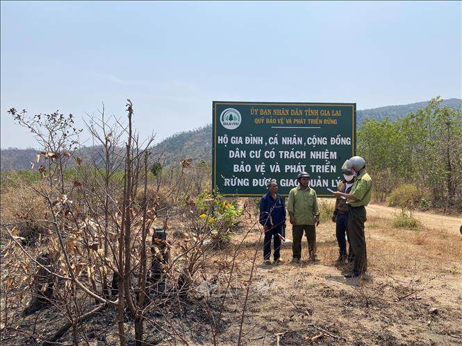Cán bộ kiểm lâm phối hợp với tổ cộng đồng làng Ia Ke, xã Ia Phang (Chư Pưh, Gia Lai) tuần tra bảo vệ rừng trên địa bàn. Ảnh: Hoài Nam – TTXVN